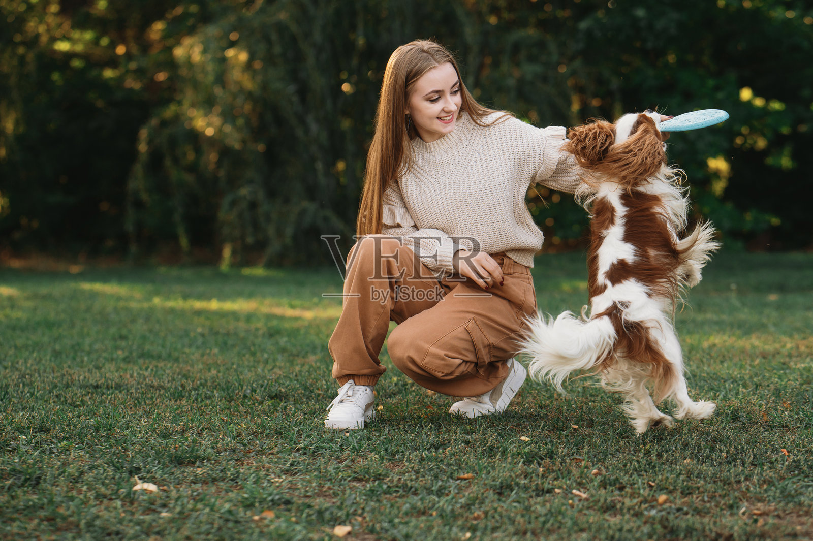 小女孩在户外训练狗狗，它正在跳跃接住飞盘和球，与一只史宾格犬玩耍。照片摄影图片
