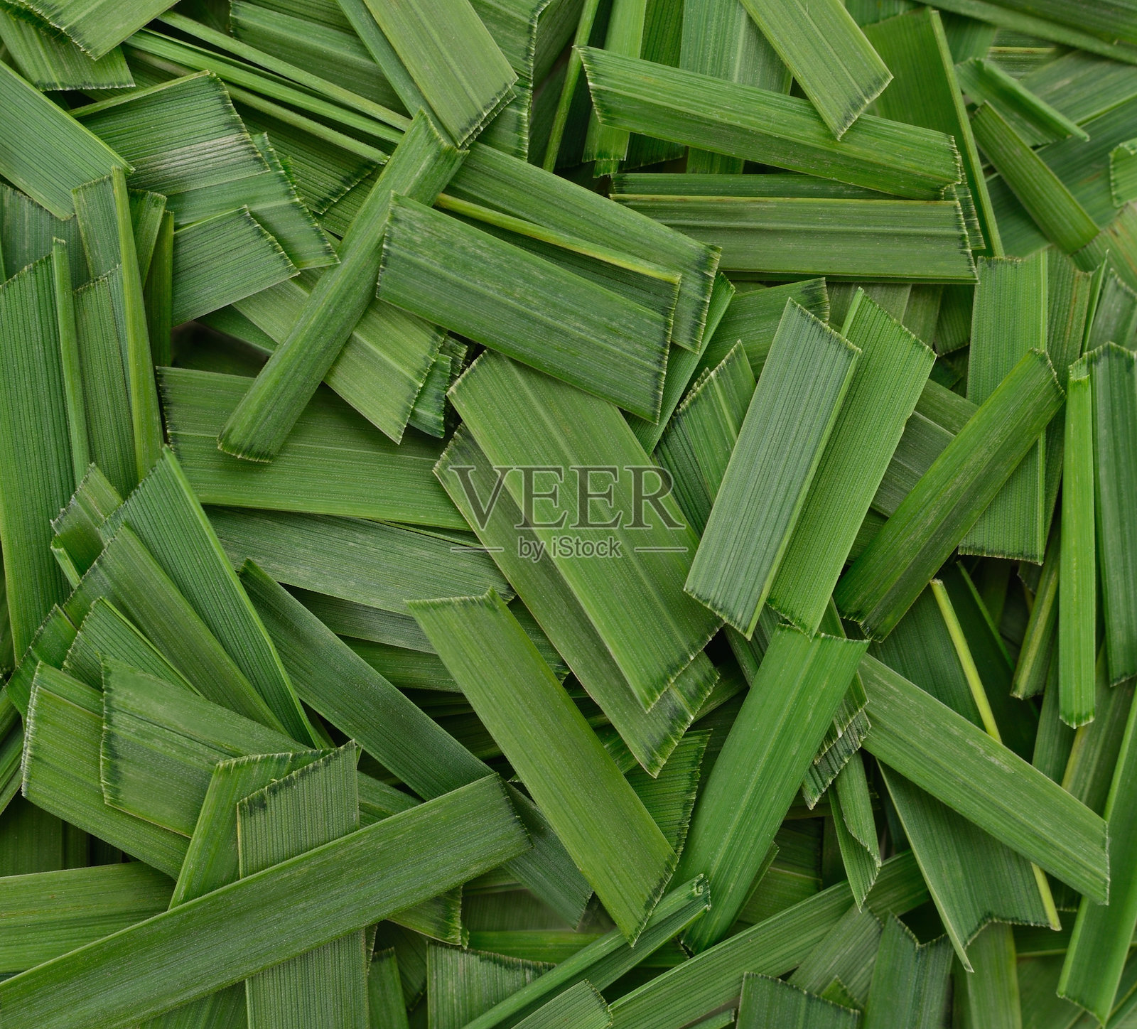 绿色切碎的叶子纹理特写照片摄影图片