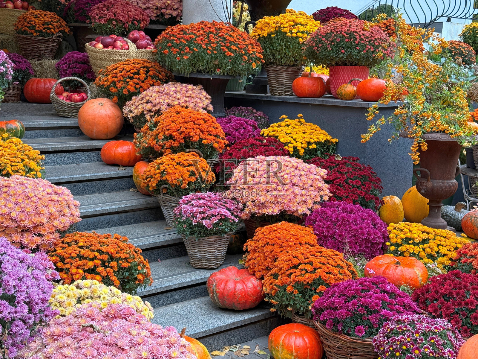秋季装饰精美的庭院，摆放着南瓜和菊花。照片摄影图片