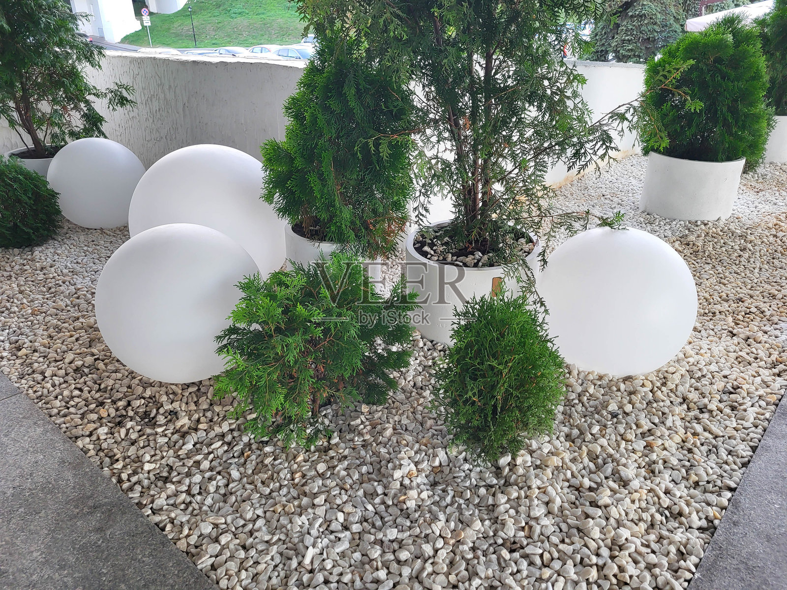 绿色的侧柏灌木丛中的花坛里，白色的鹅卵石上散落着大型白色球形灯照片摄影图片