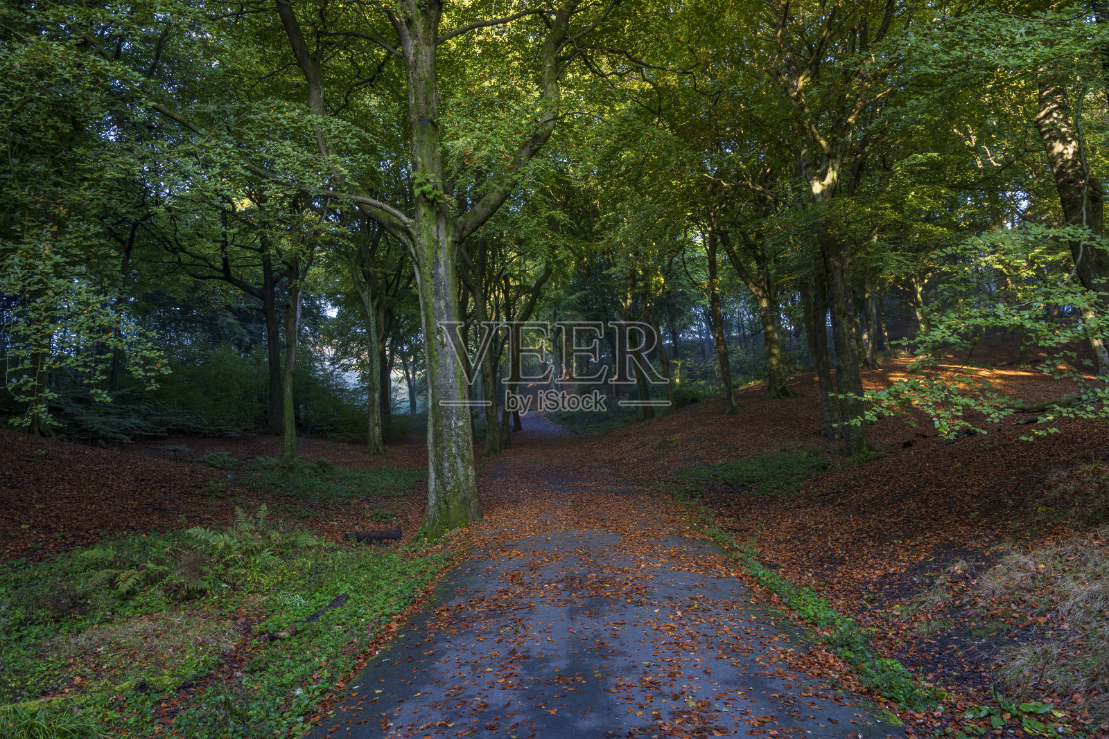 坦德尔山乡村公园的初秋照片摄影图片