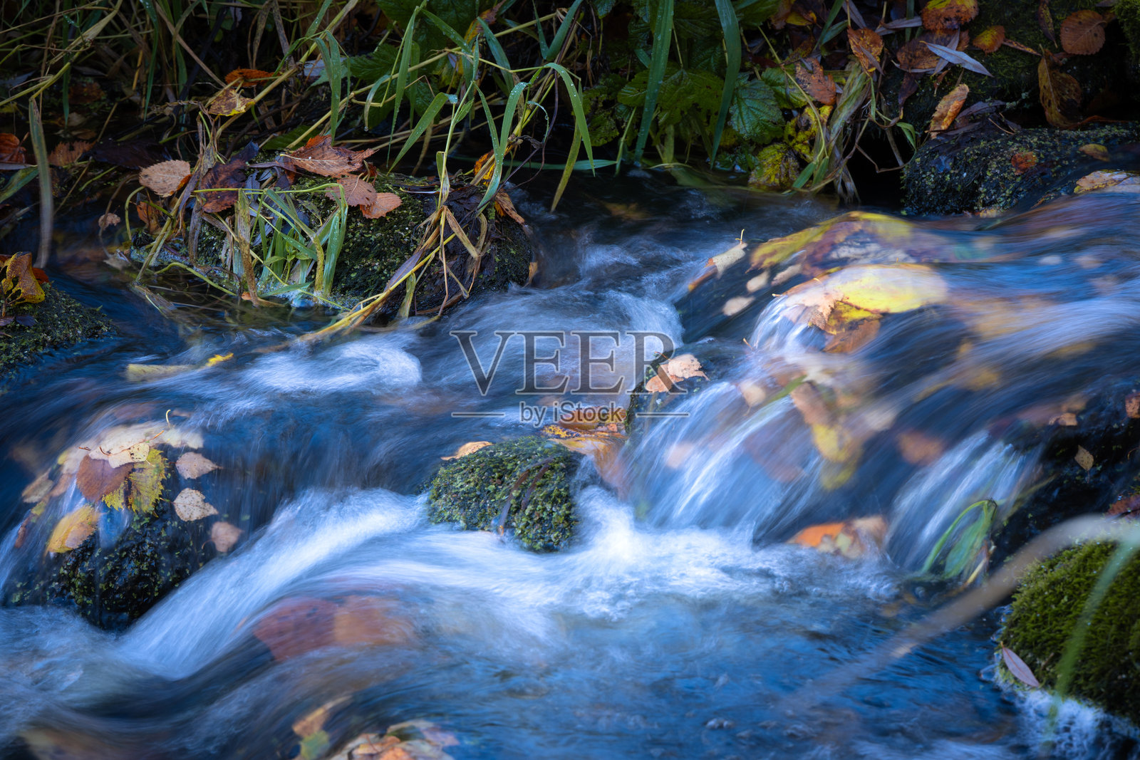 流淌的森林溪流，点缀着秋叶和长满苔藓的石头，清澈水流的特写，象征着宁静、纯净和季节更替的自然景象照片摄影图片