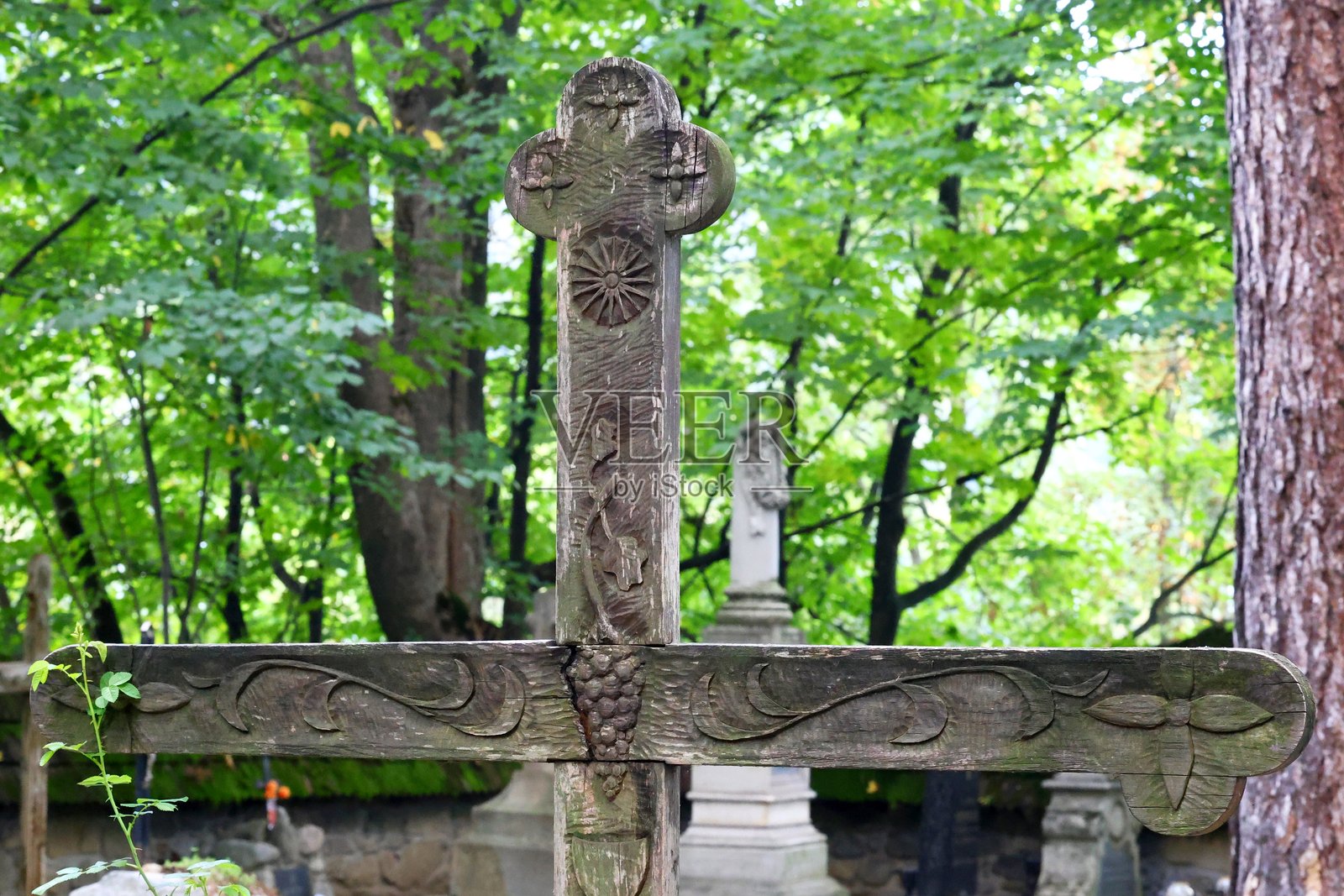 宁静森林墓地里的乡村宗教十字架照片摄影图片