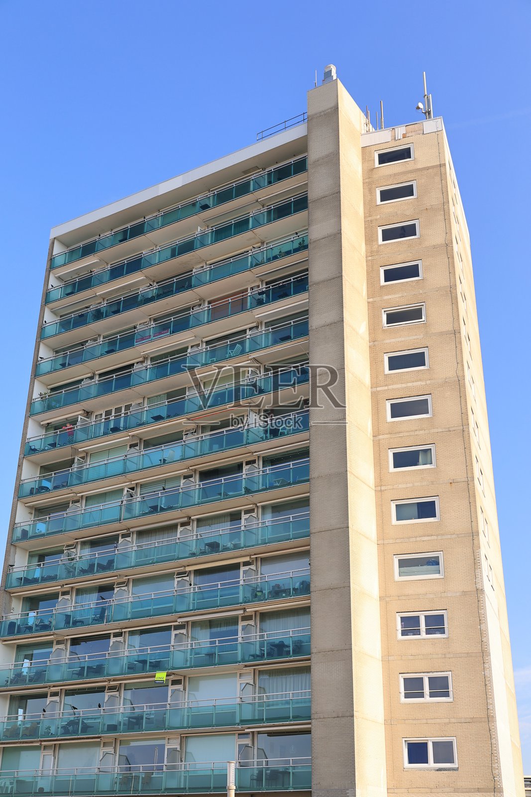 荷兰北荷兰省赞德福特一个阳光明媚的秋日照片摄影图片