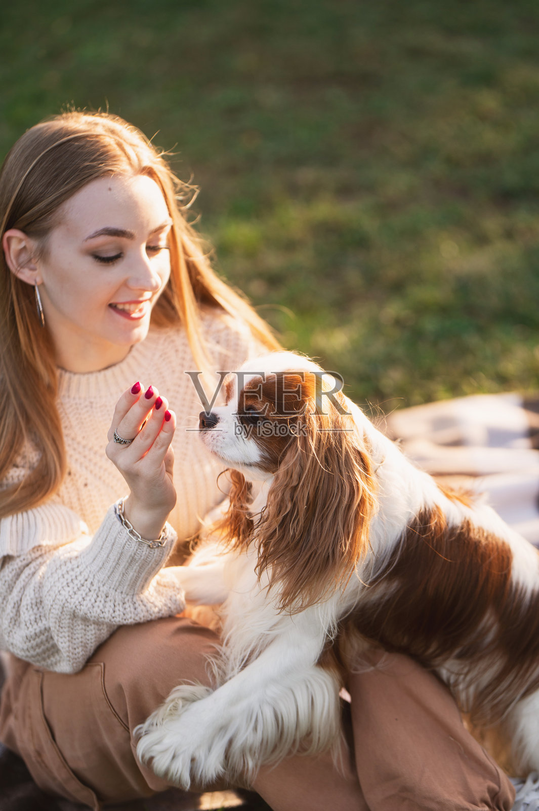 一个女孩和一只骑士查理王小猎犬在秋季公园里散步，展现了与宠物的友谊、喜悦、新鲜空气和散步的场景照片摄影图片