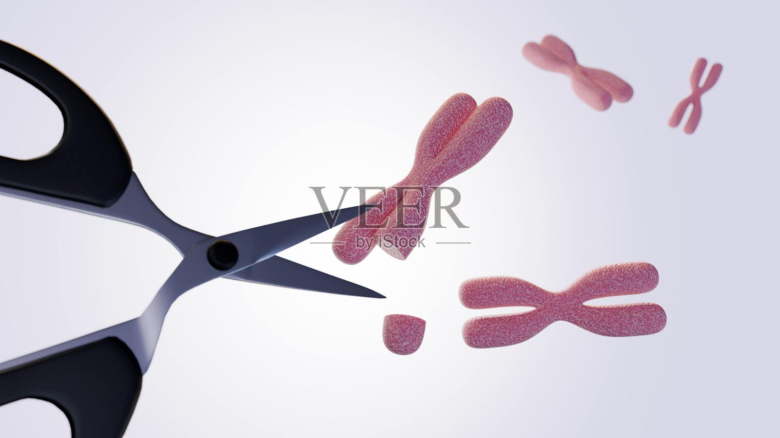 一把剪刀和染色体的插画照片摄影图片