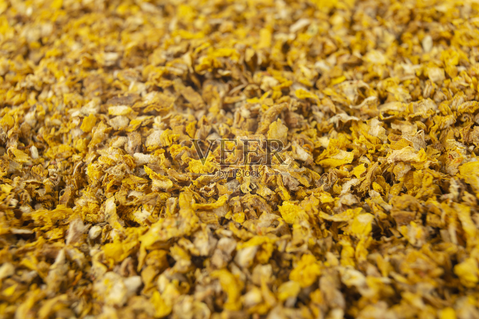 毛蕊花或柳叶菜的干花。浅景深。用于草药照片摄影图片