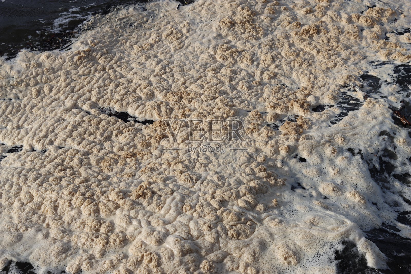 厚厚的海浪泡沫特写照片摄影图片