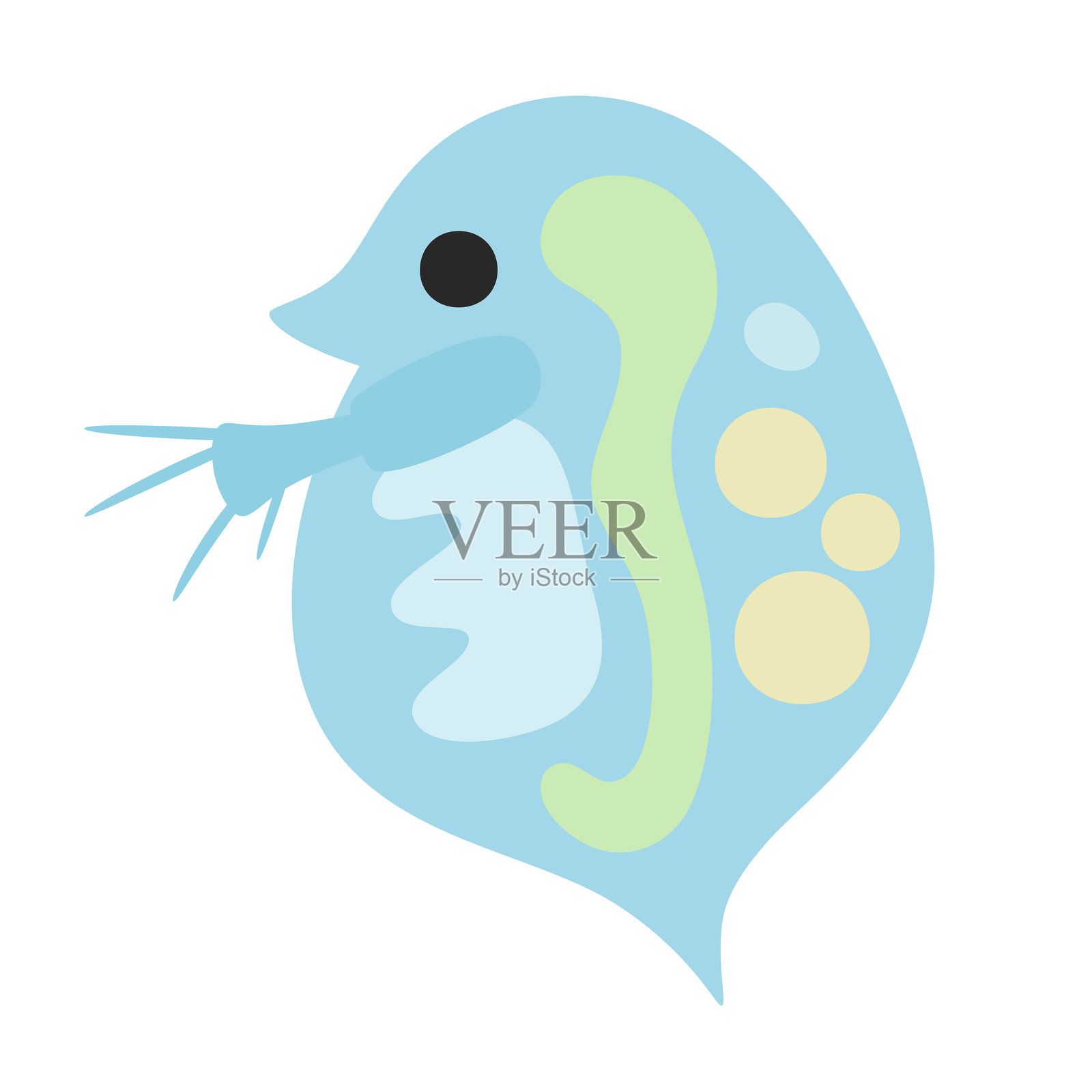 水蚤插画图片素材