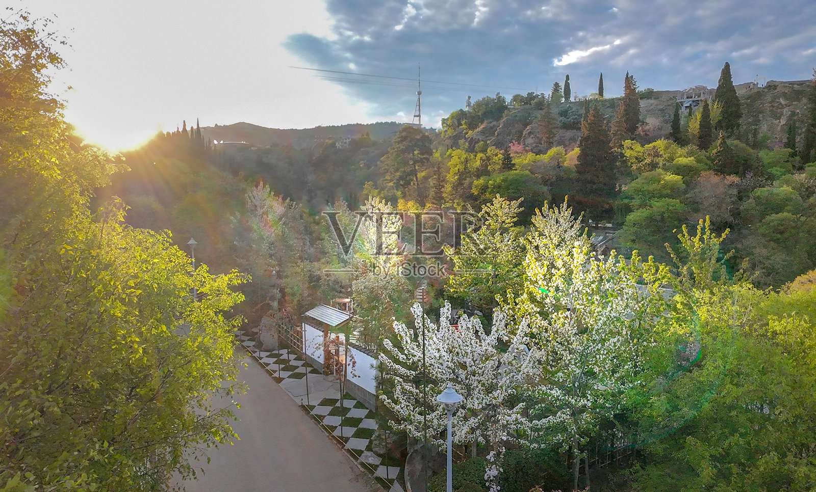 第比利斯植物园在四月盛开照片摄影图片