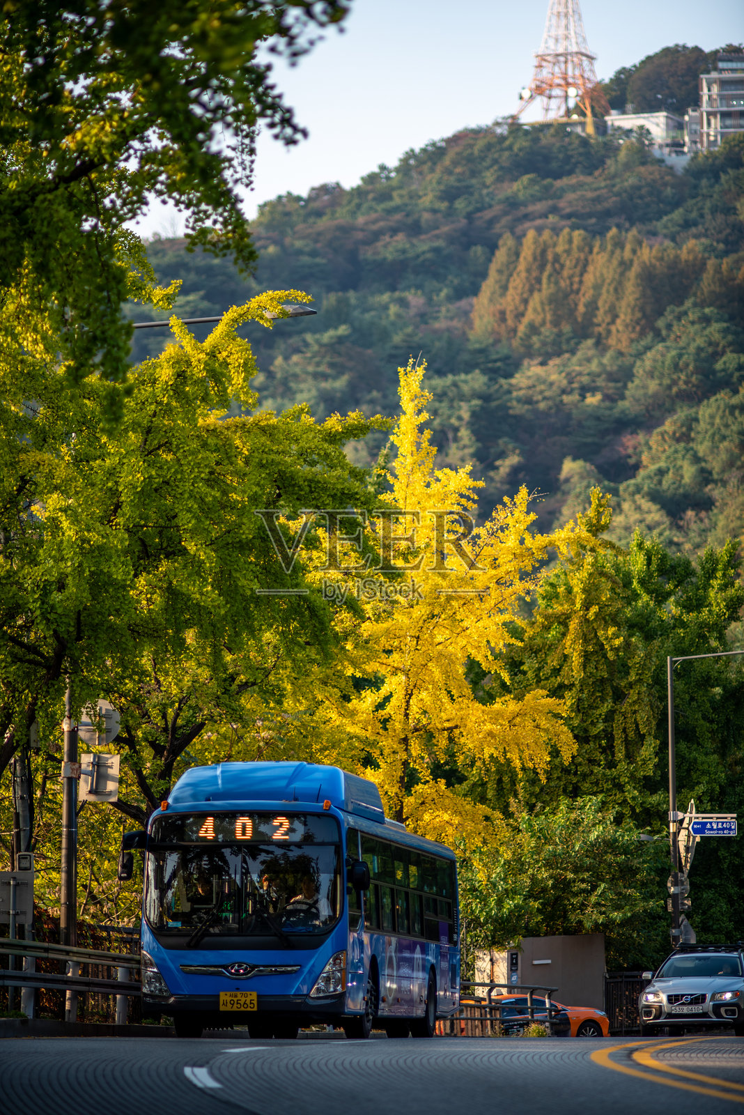 秋季树木环绕的蜿蜒道路上行驶的蓝色首尔市巴士，背景是南山，位于韩国首尔。照片摄影图片