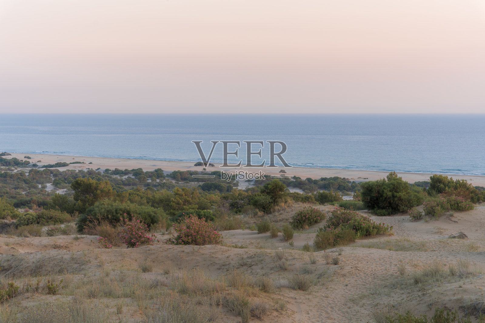 帕塔拉海滩照片摄影图片