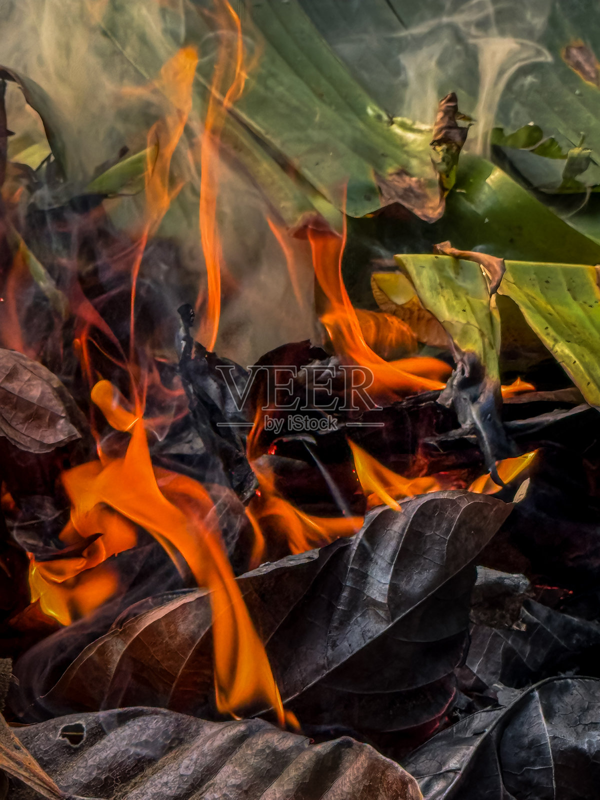 焚烧垃圾时呈现红色的火焰照片照片摄影图片