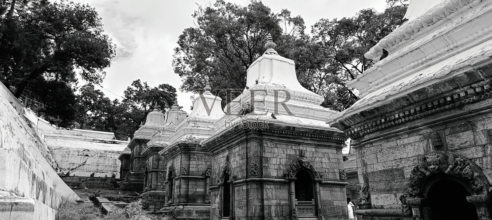 帕斯帕蒂纳特照片摄影图片