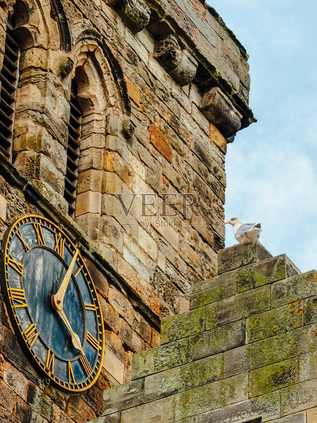 钟表匠照片摄影图片