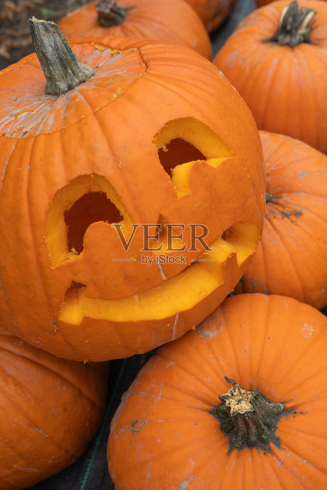 充满活力的橙色南瓜摆放在乡村木质表面上照片摄影图片