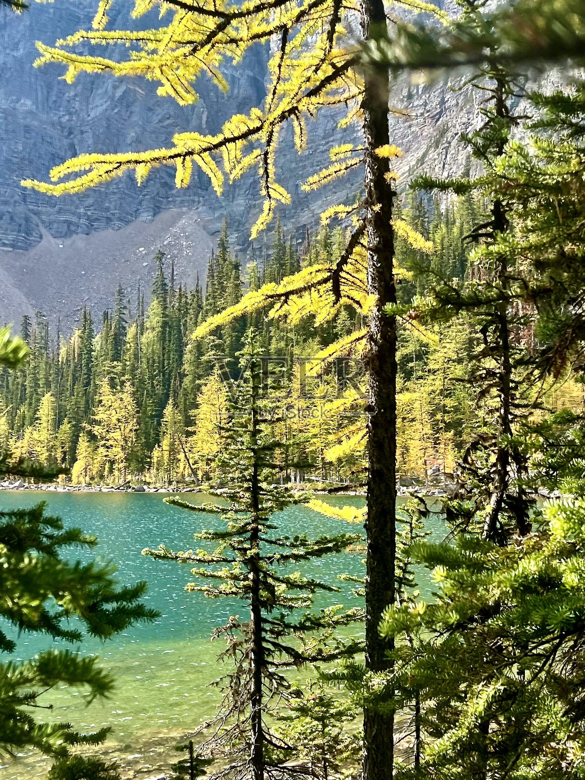 绿湖、云杉树和山峦照片摄影图片