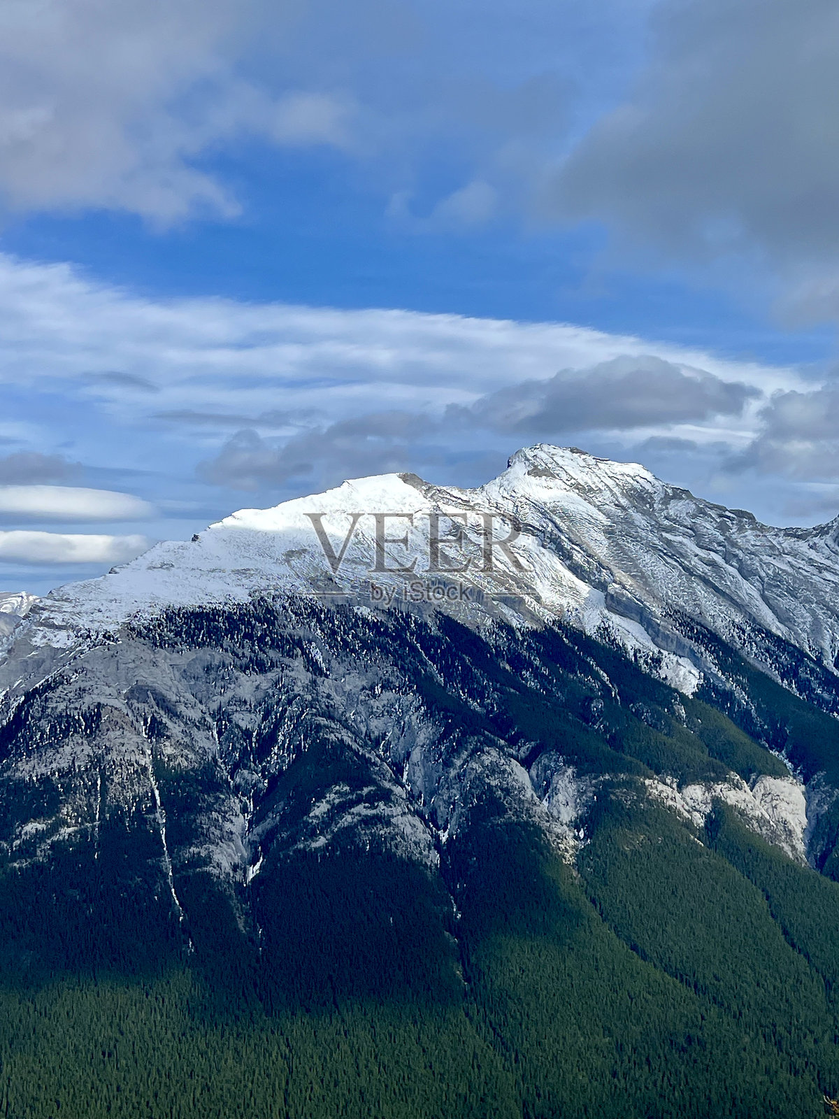 山顶风光，积雪与绿色云杉树照片摄影图片