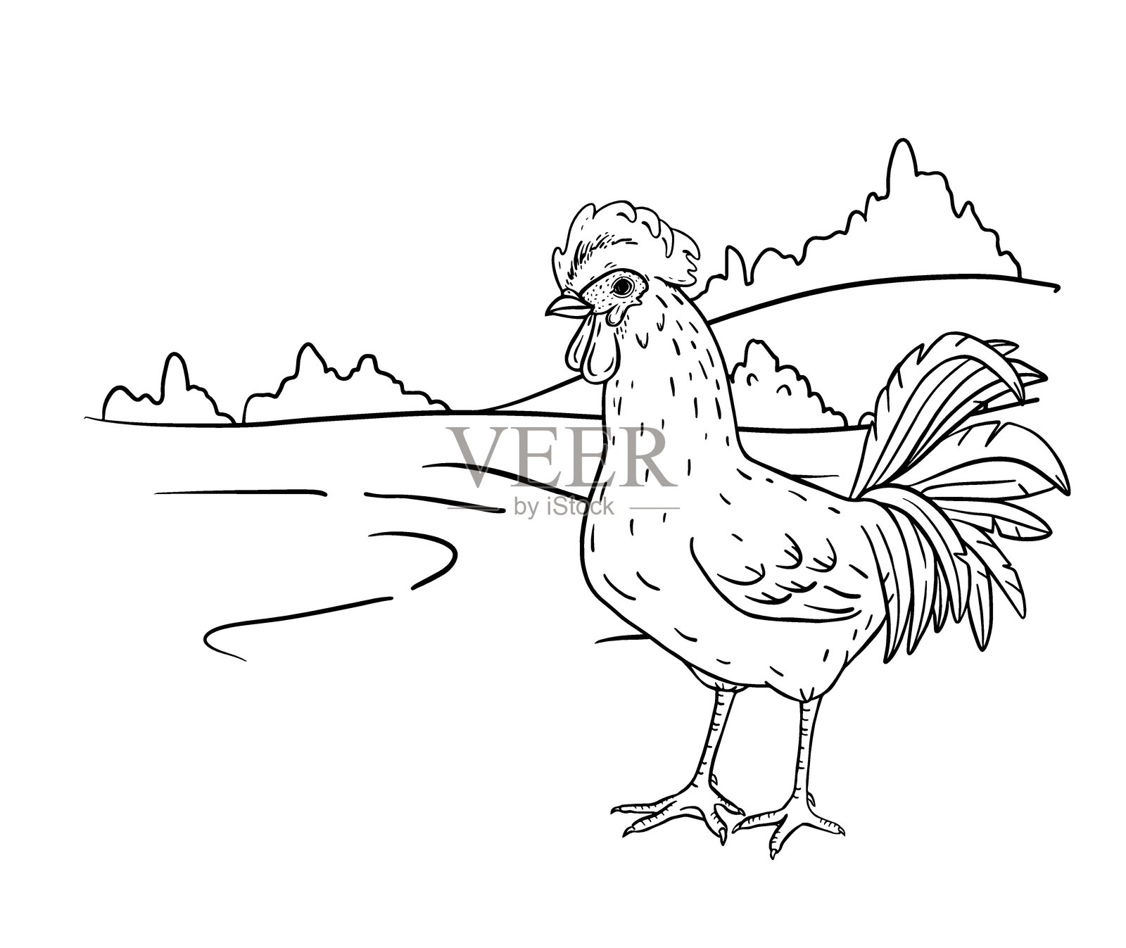 手绘水墨线条艺术，一只公鸡骄傲地站立在柔和的乡村风景前。非常适合质朴的品牌设计、环保包装、纺织品印花、厨房装饰和农场风格的设计项目。插画图片素材