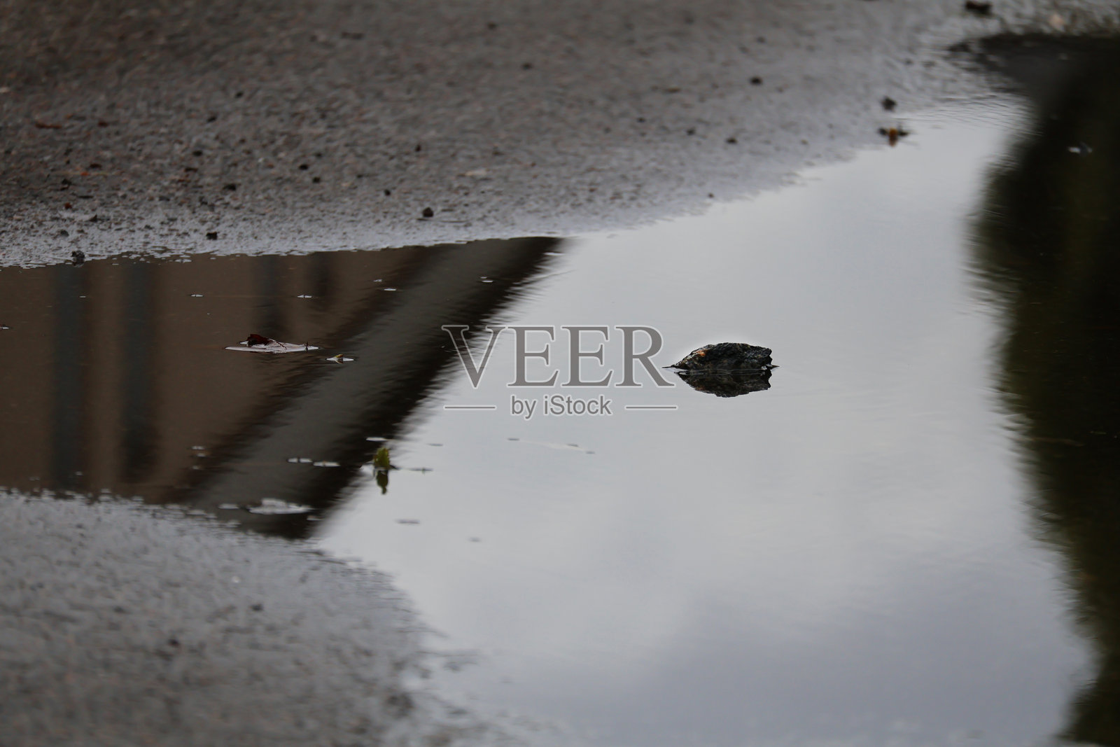 一滴孤单的叶子在水坑里照片摄影图片