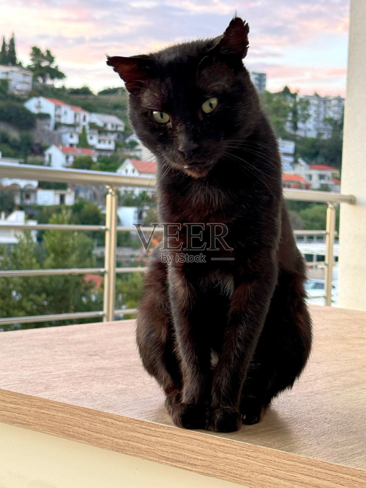 黑猫坐在桌子上。照片摄影图片