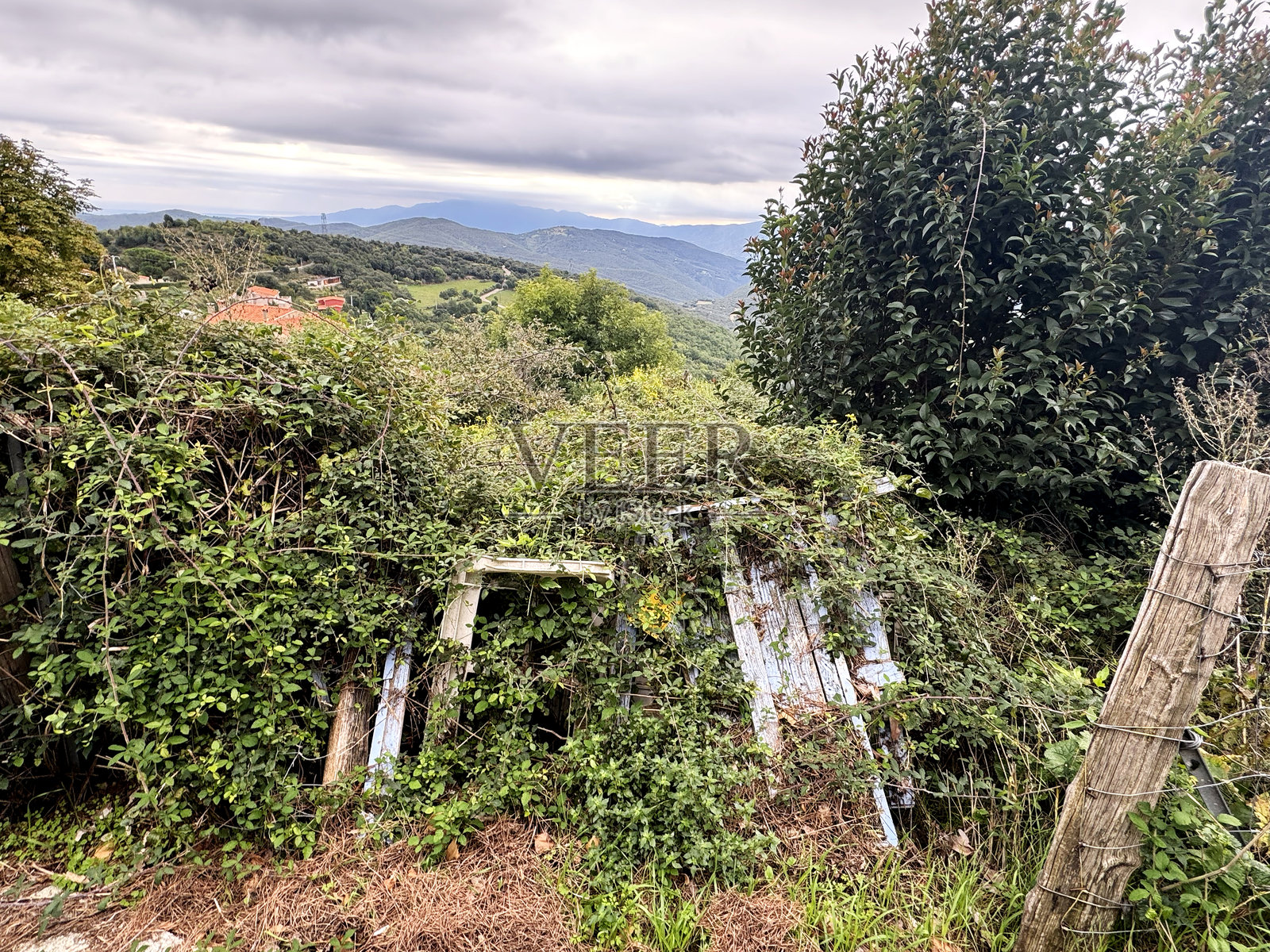 山坡上杂草丛生的倒塌棚屋照片摄影图片