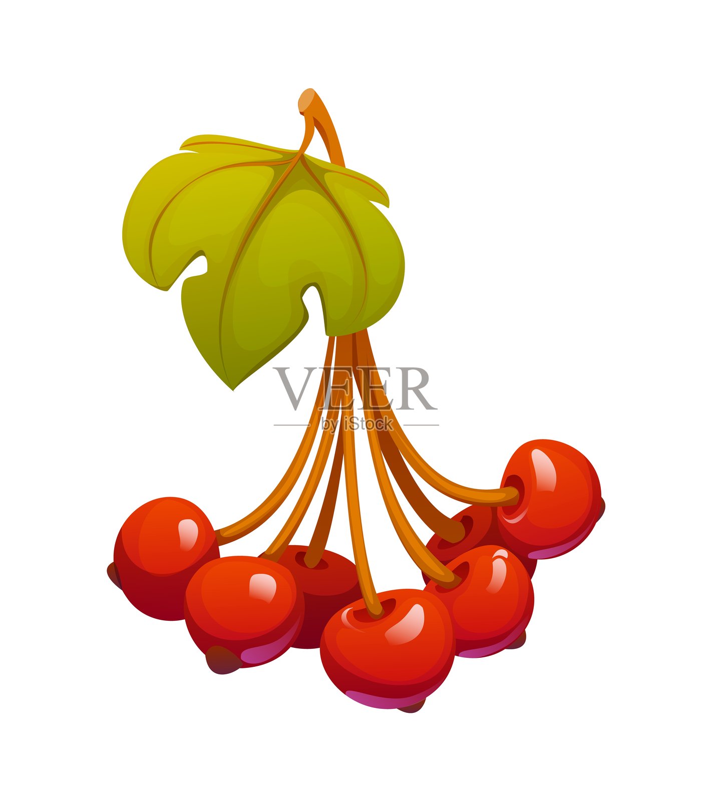 卡通风格的欧洲雪球花浆果集群插画图片素材