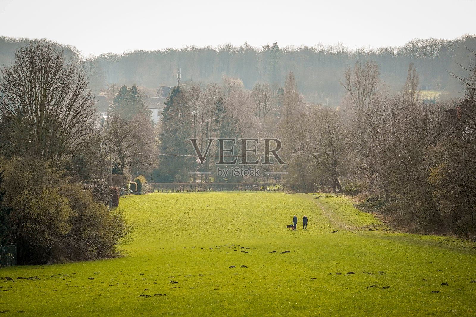 人们遛狗照片摄影图片