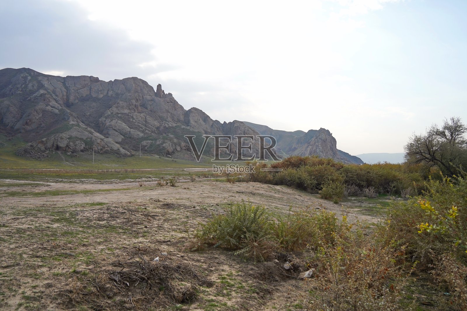 伊犁河沿岸的山地地形和各种植被。国家自然公园。照片摄影图片