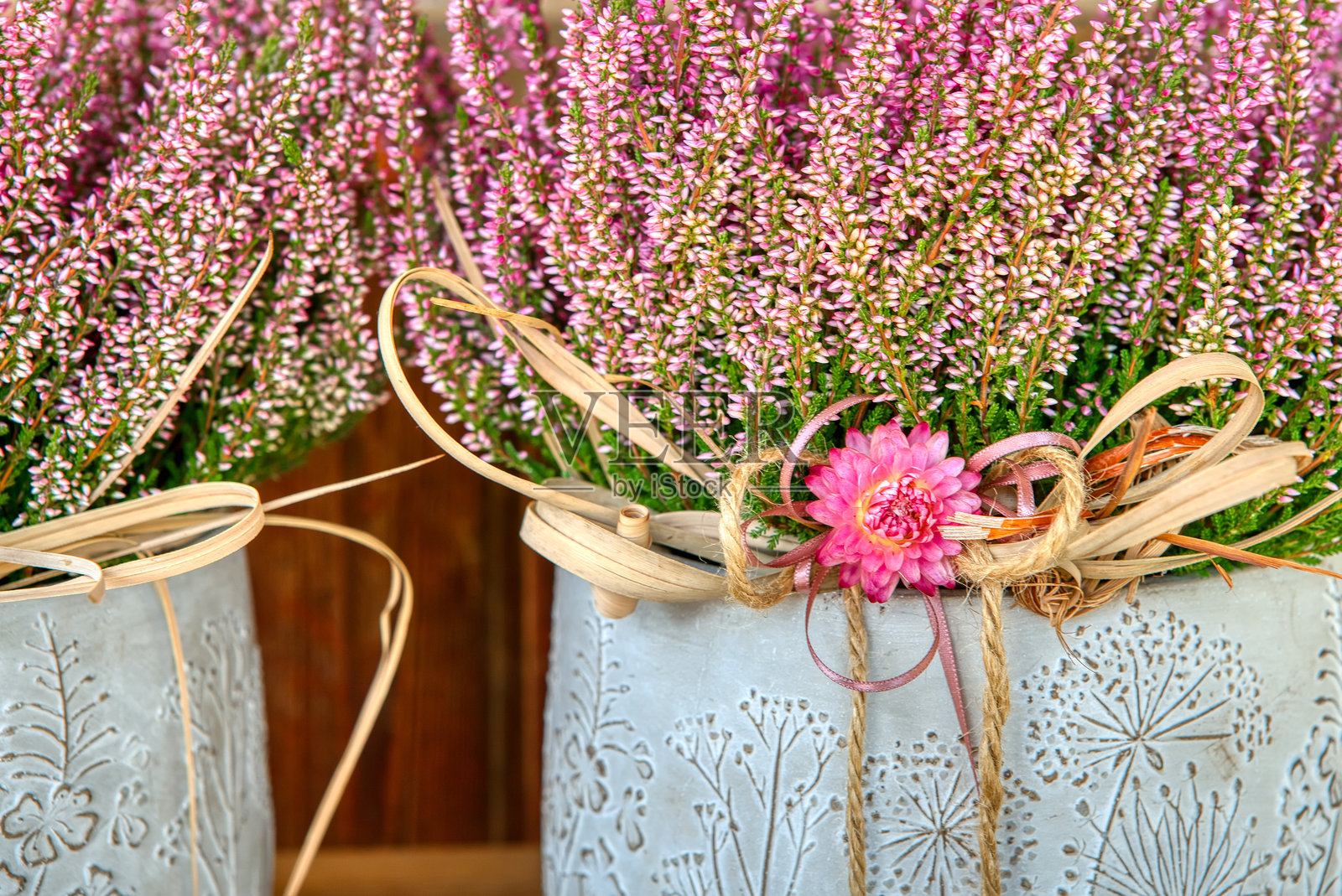 装饰花盆里的欧石楠，用天然麻绳捆绑。照片摄影图片