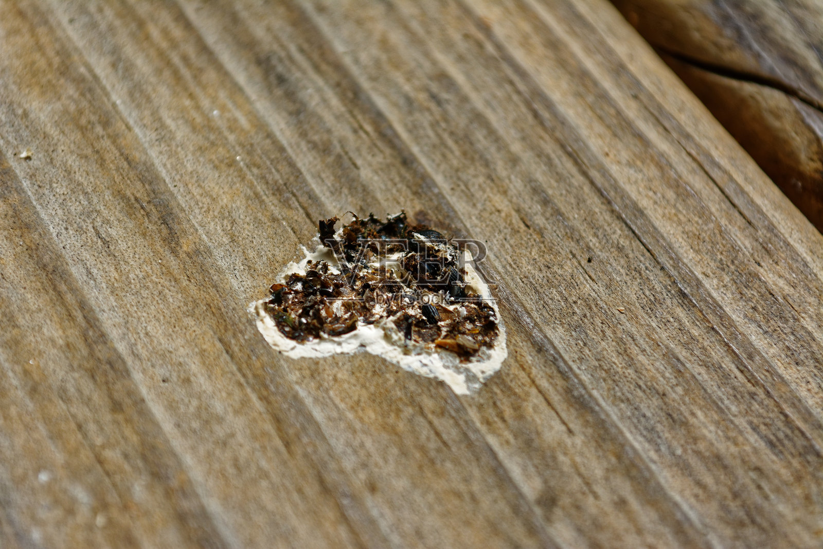 一个有鸟屎的木制露台照片摄影图片