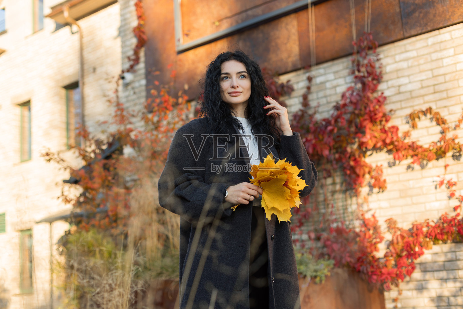 一位优雅的女士，留着深色卷发，手捧着一束黄色的秋叶，站在一堵爬满红色常春藤的砖墙旁。温暖的阳光和秋天的氛围营造出舒适的季节感。照片摄影图片