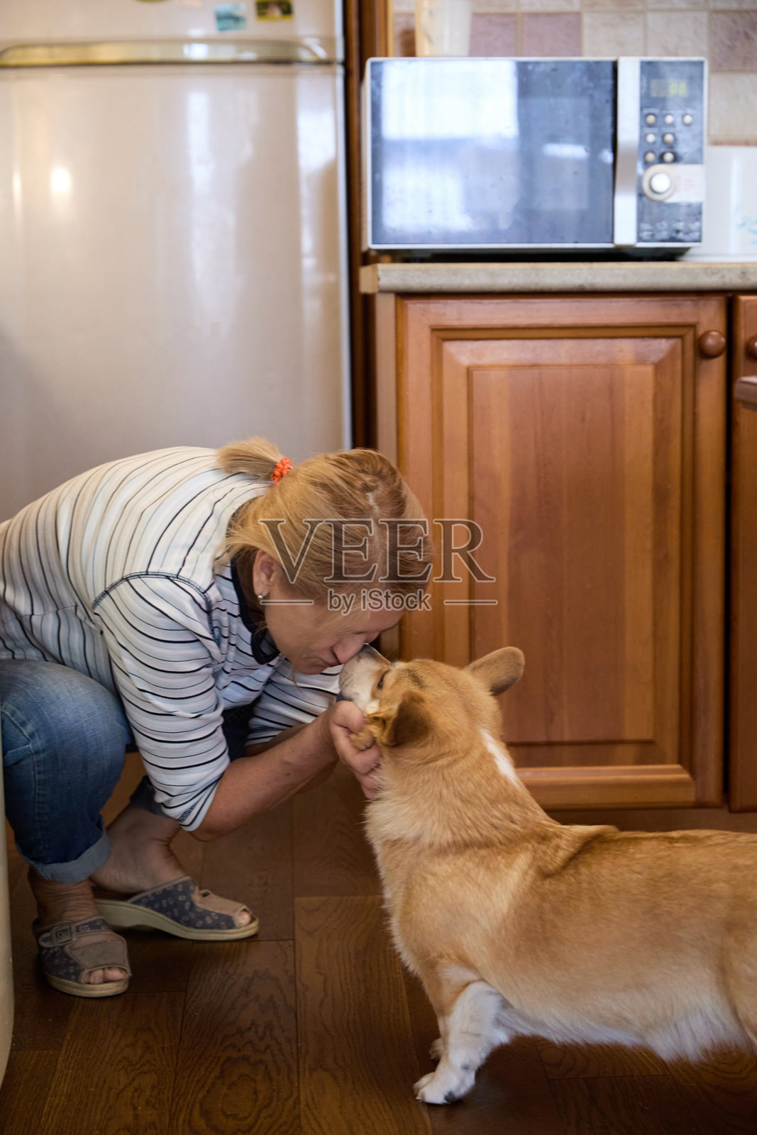 年长女性在厨房里与柯基犬玩耍照片摄影图片