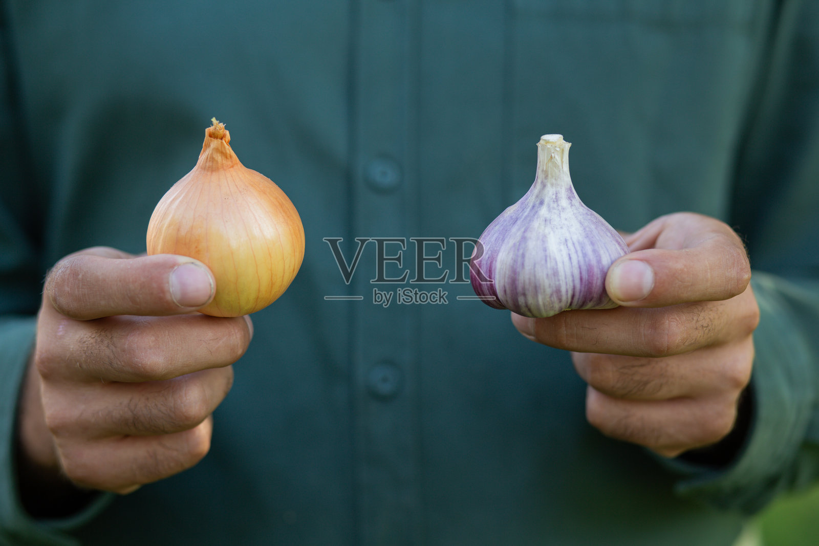 男性手持洋葱和大蒜的特写，选择的概念，烹饪选择照片摄影图片