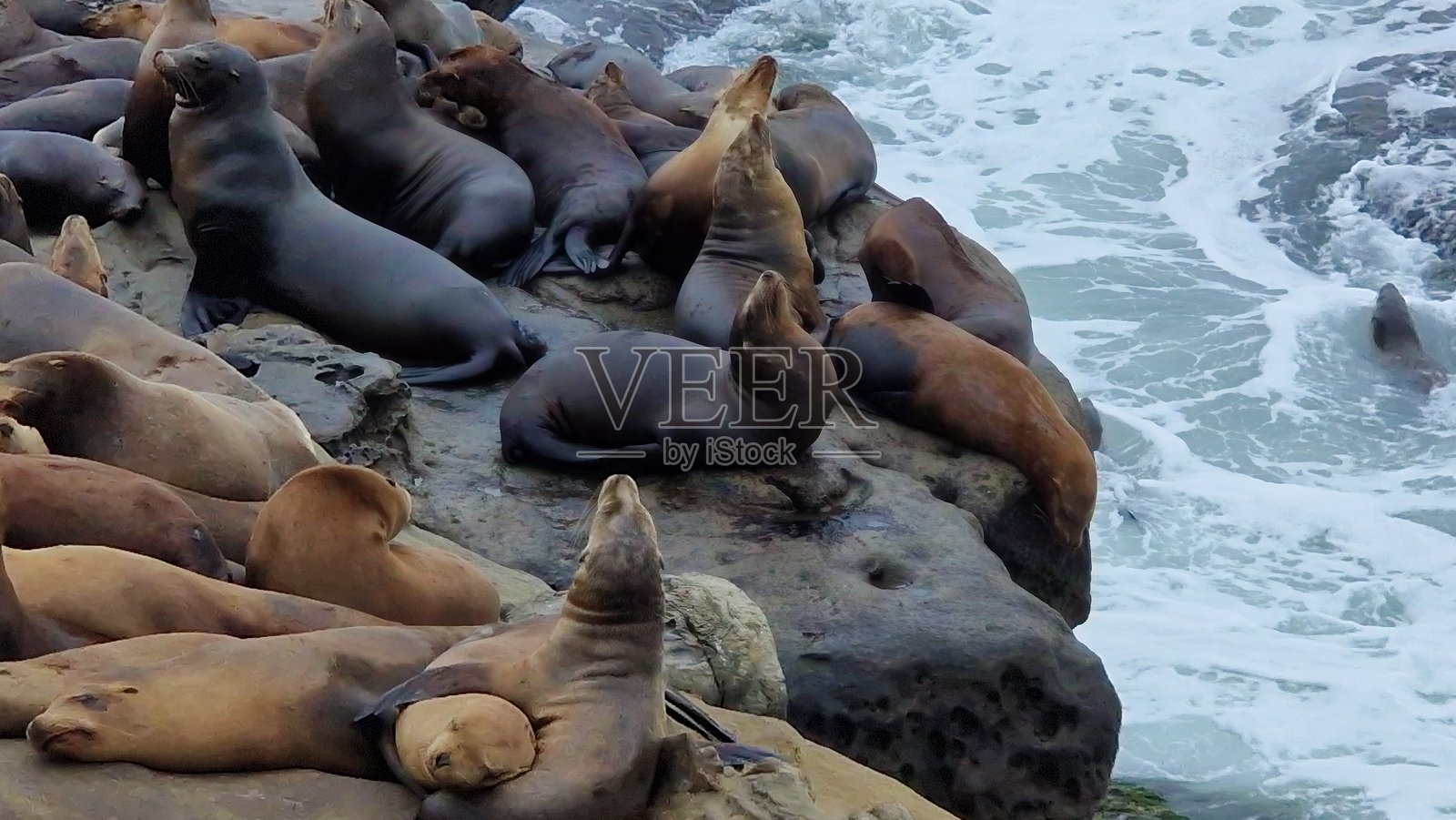 在美国的真实旅行体验照片摄影图片