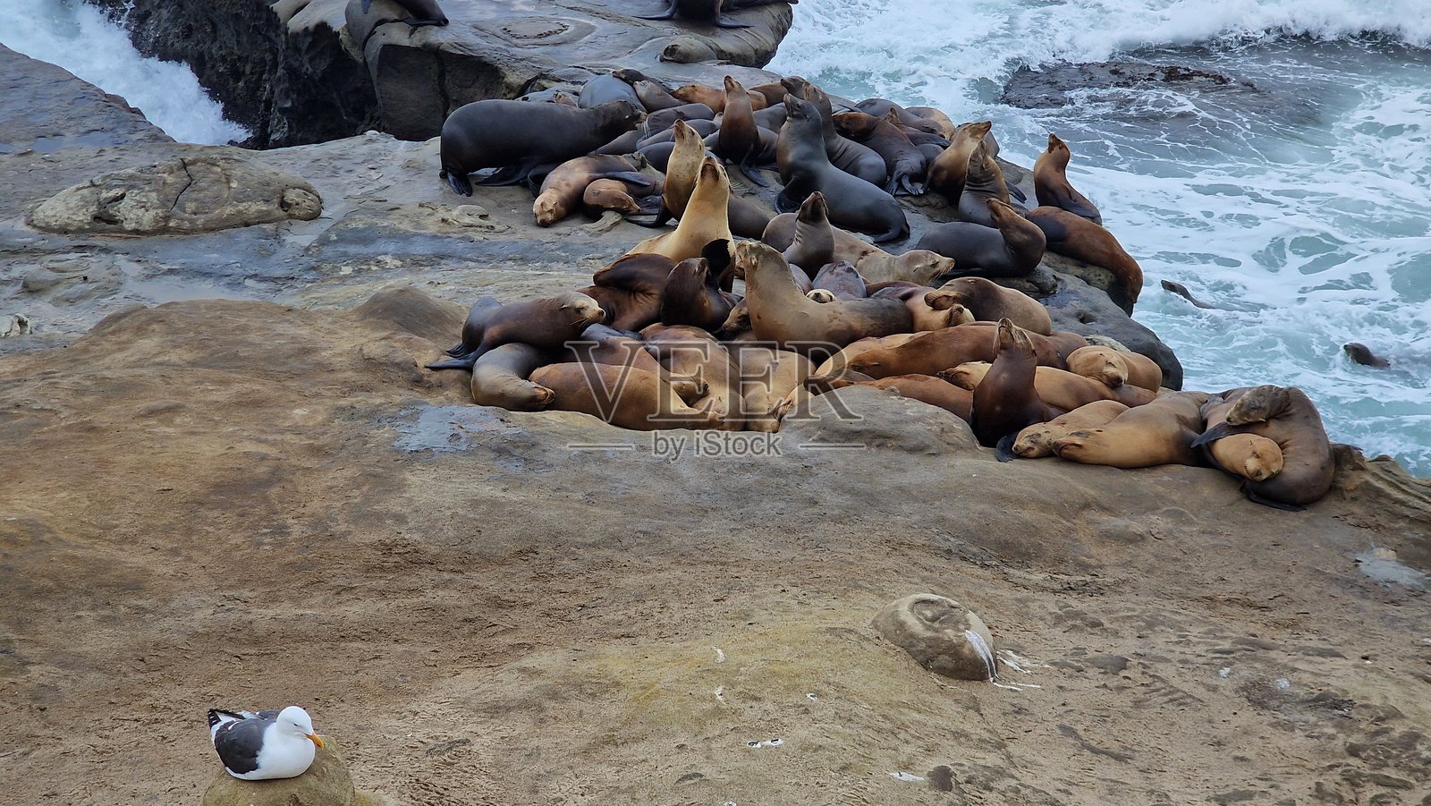 美国真实旅行体验照片摄影图片