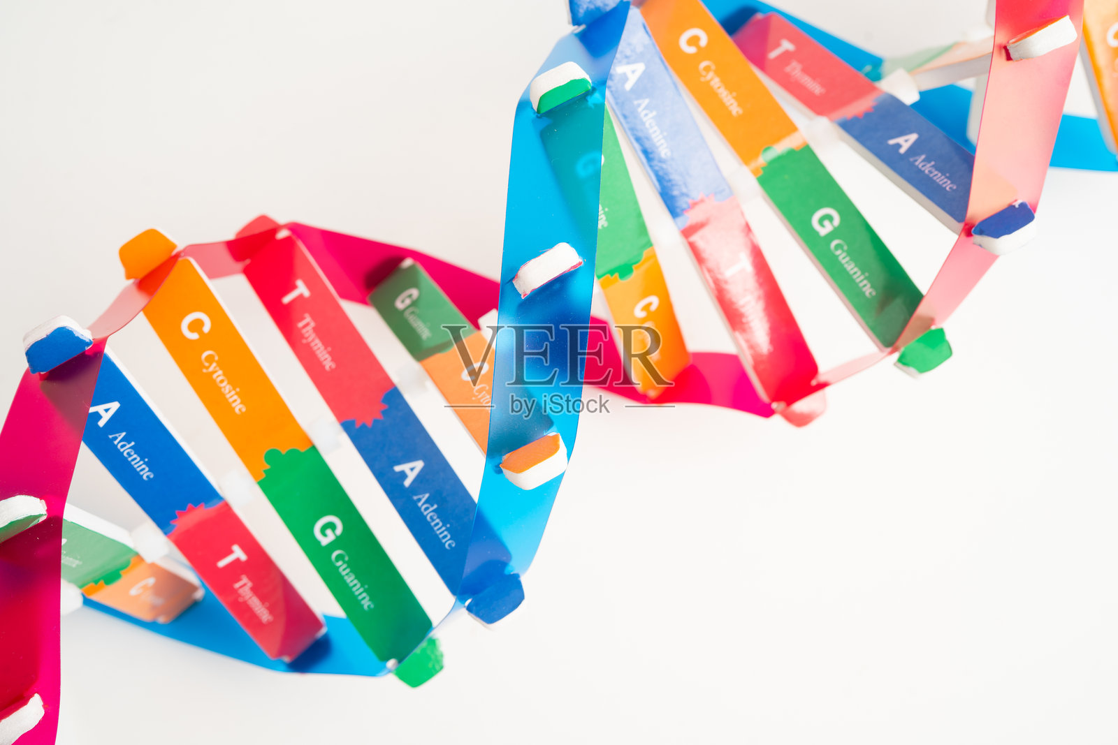 DNA（脱氧核糖核酸）是一种双螺旋链结构，由碱基对连接到糖磷酸骨架上形成。照片摄影图片