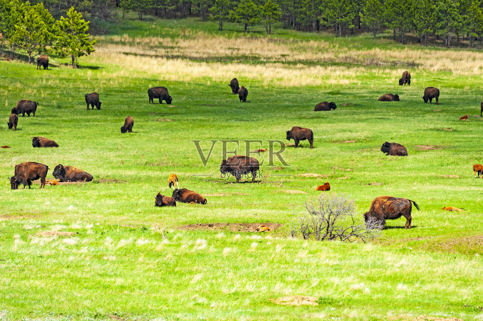 南达科他州风洞国家公园照片摄影图片