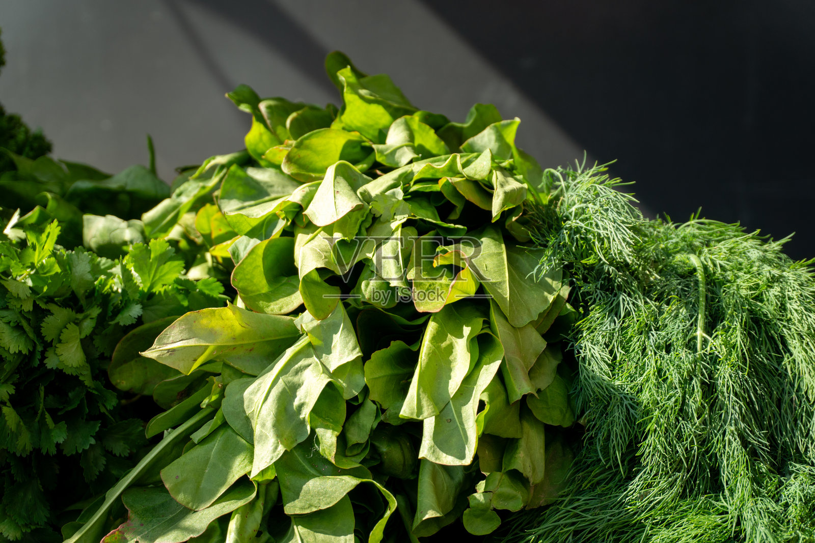 商店柜台上的新鲜绿叶蔬菜特写。农贸市场里的欧芹、莳萝和葱。照片摄影图片