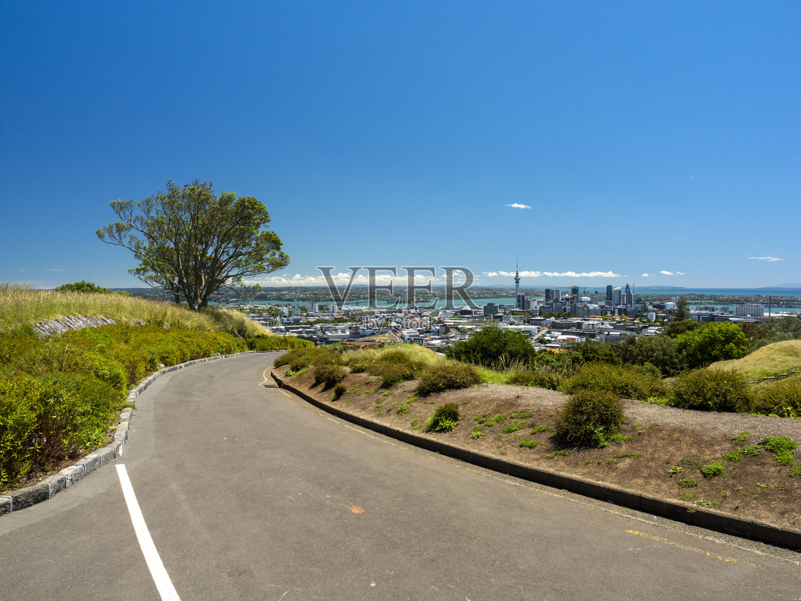 新西兰奥克兰的伊甸山照片摄影图片