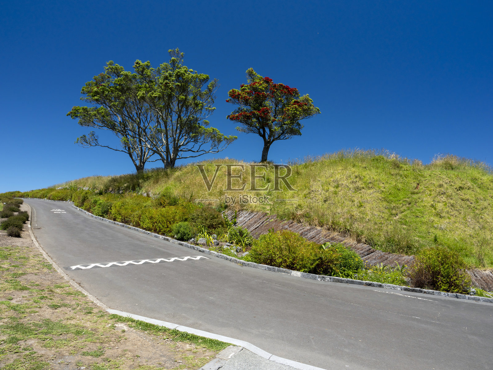 新西兰奥克兰的伊甸山照片摄影图片