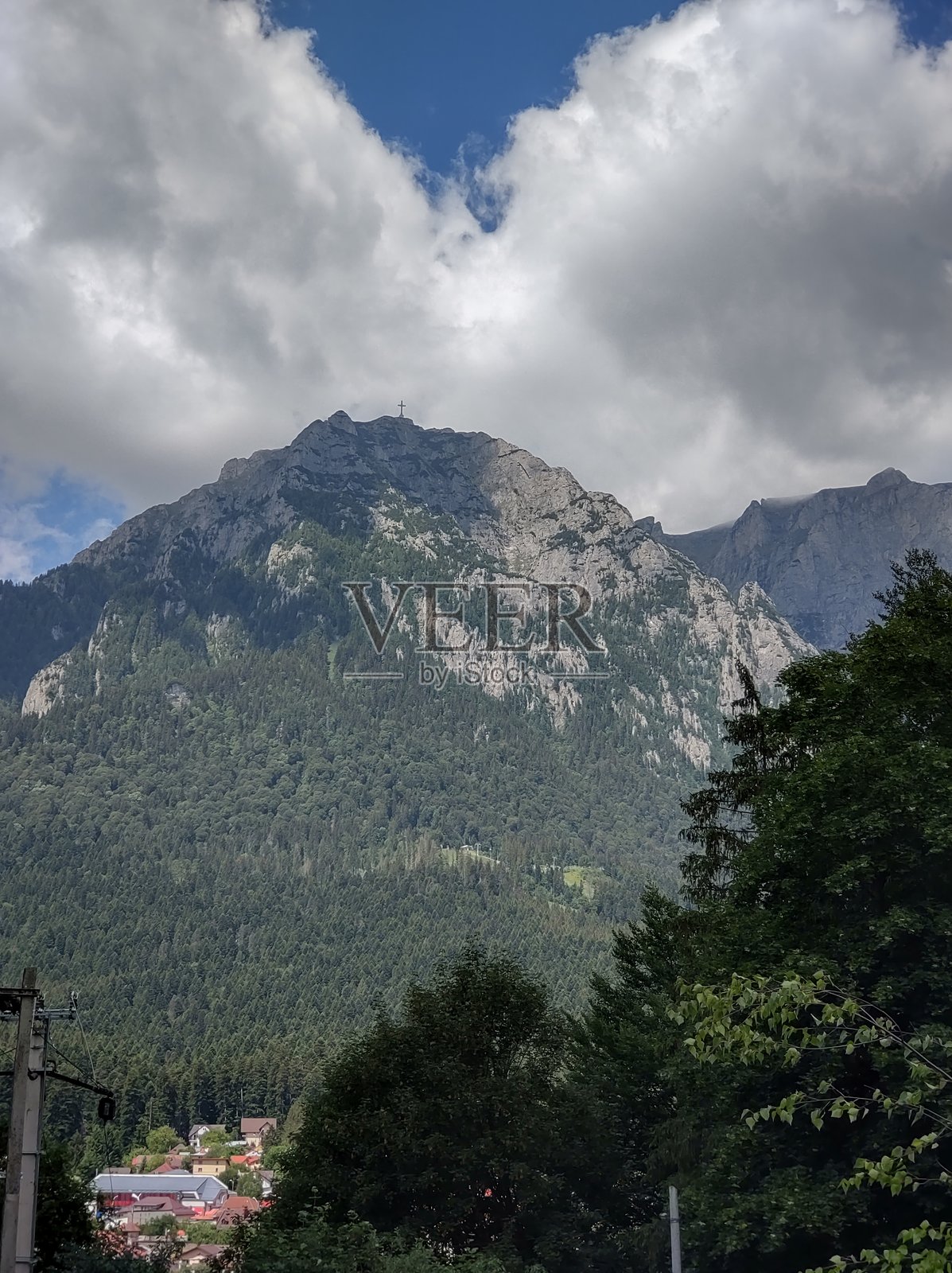 假期、美食、动物、野生、食谱照片摄影图片