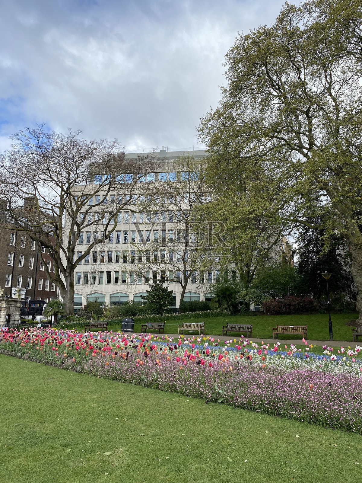 花照片摄影图片