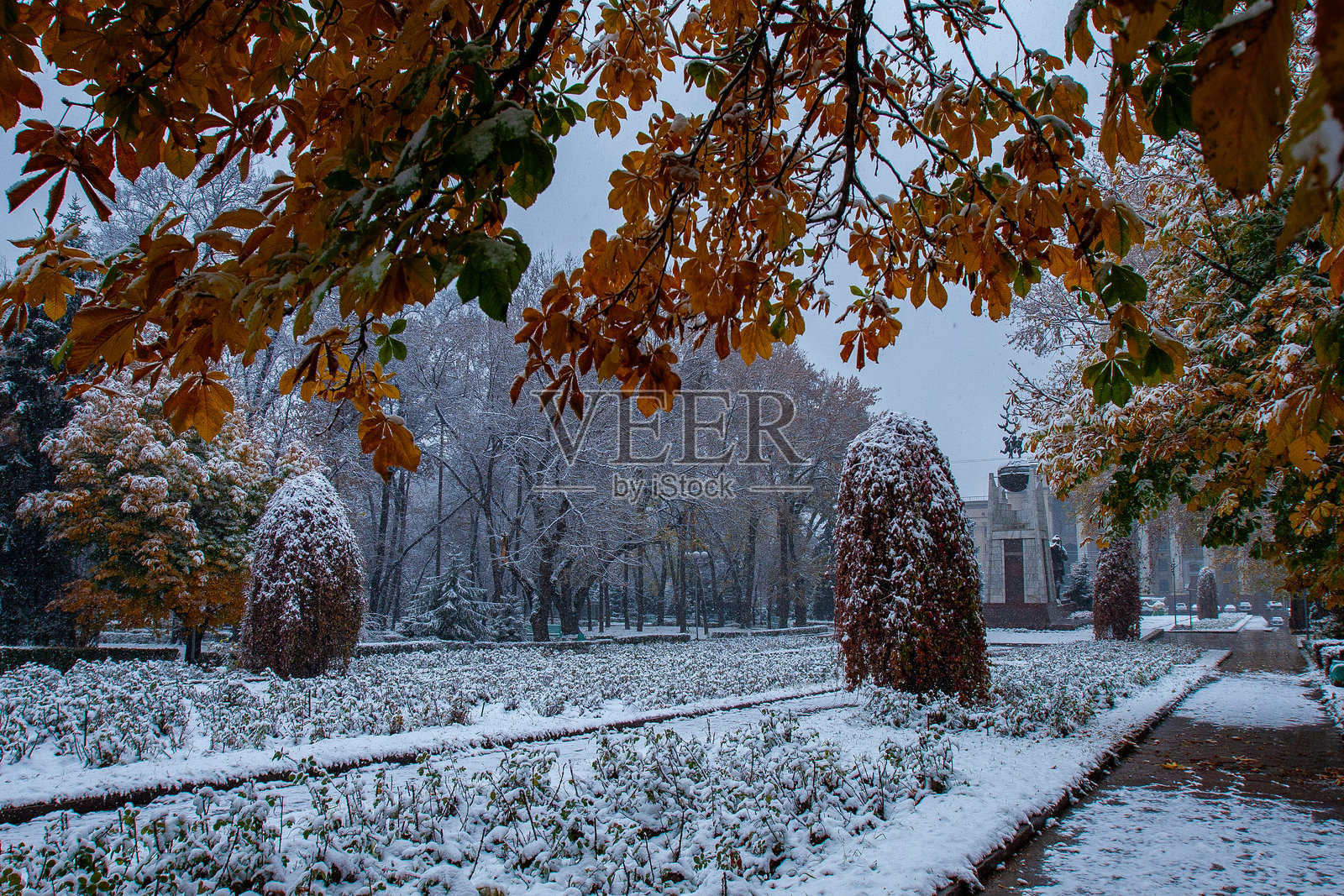城市公园的初雪，秋意渐浓。照片摄影图片