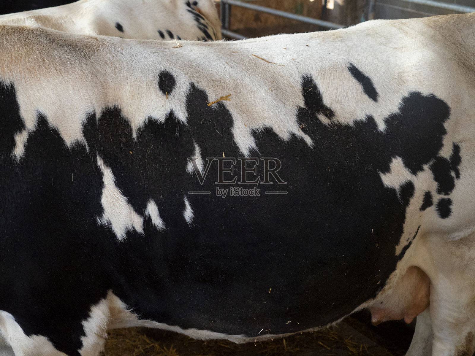 乌塞照片摄影图片