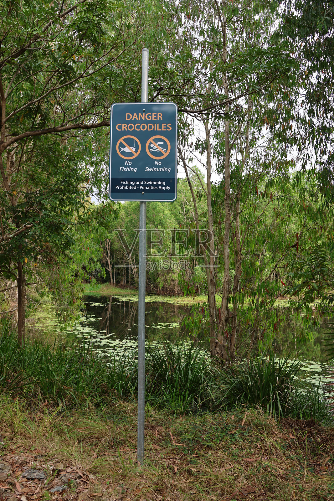 澳大利亚昆士兰州，危险鳄鱼标志，周围环绕着树木，旁边是湖泊照片摄影图片