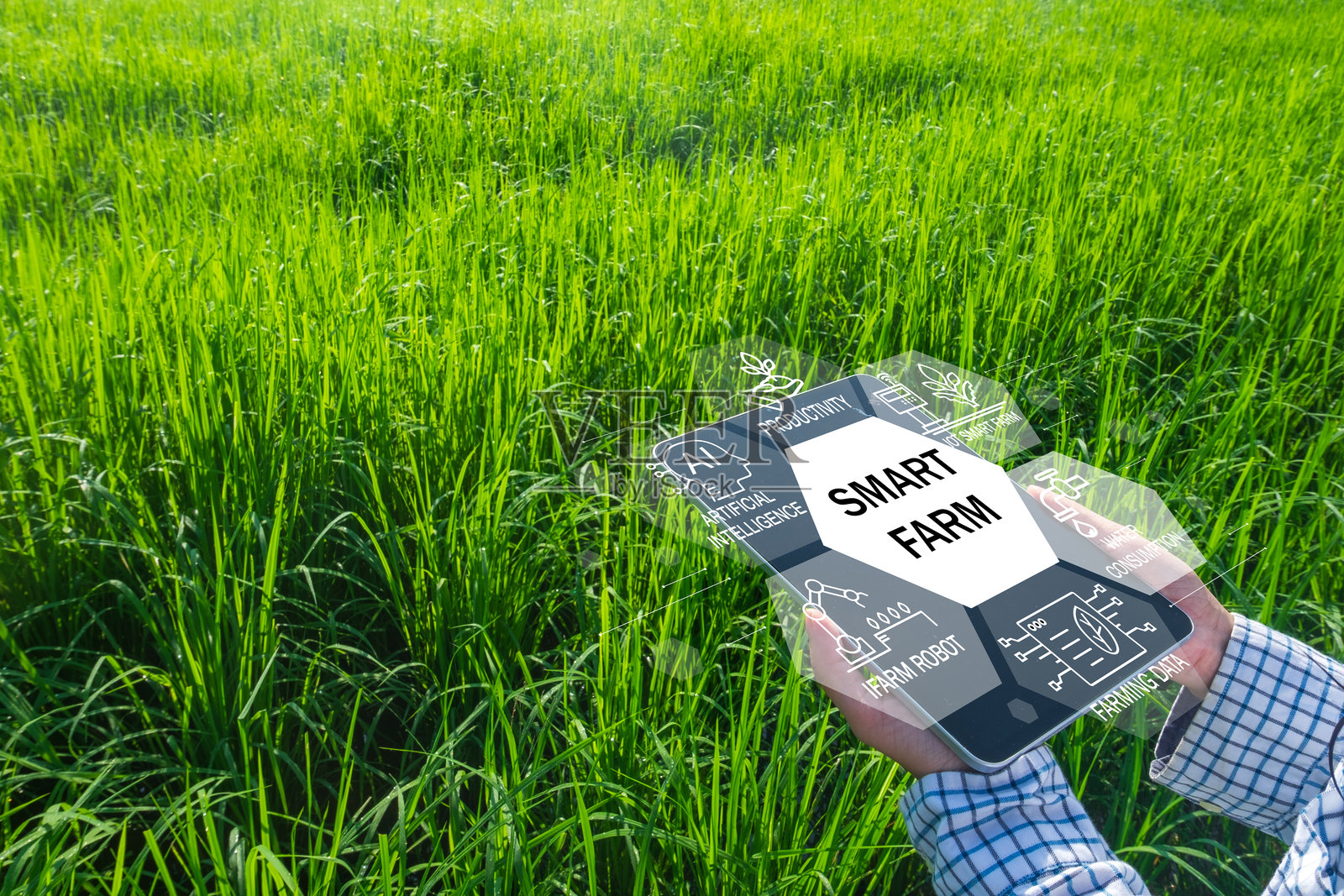 智慧农业概念：农民使用带有 AI 和 IoT 数据的平板电脑照片摄影图片