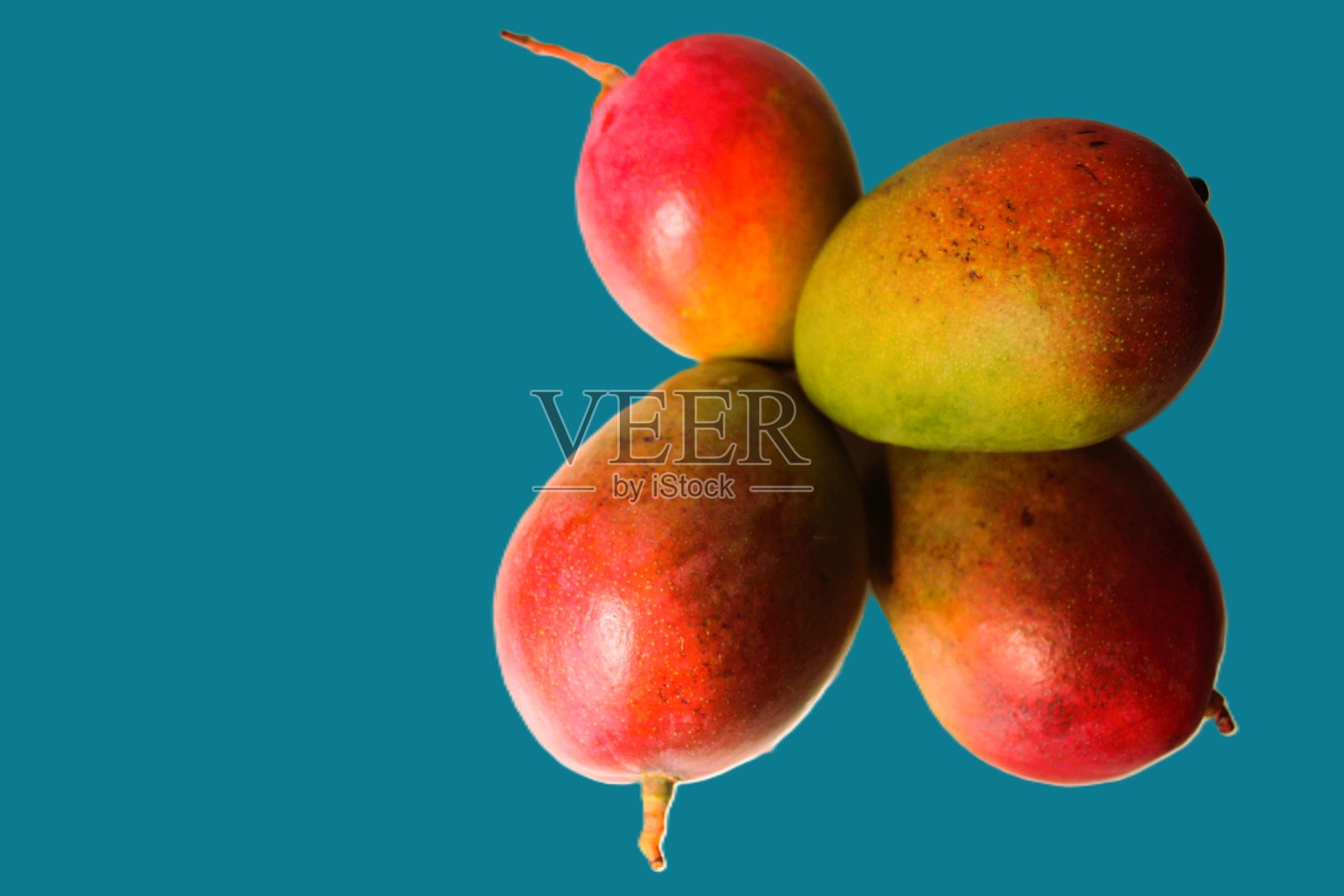 多汁有机芒果创意构图。健康食品概念。横幅照片，带有浅蓝色背景和文字空间。照片摄影图片