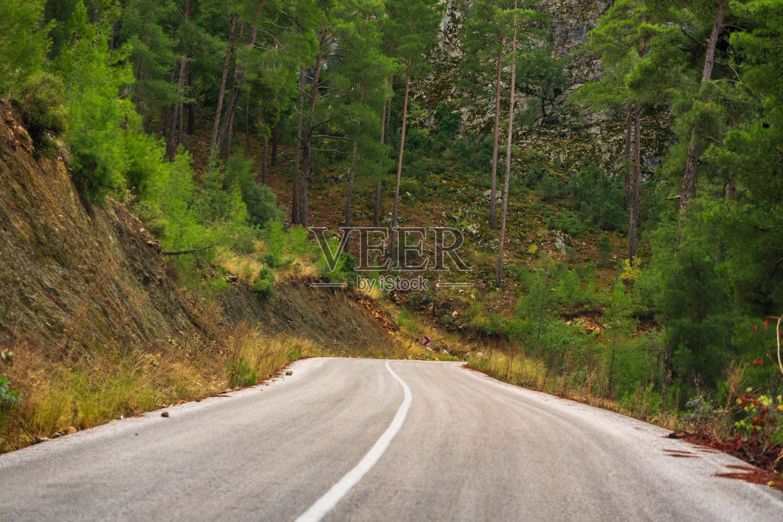 蜿蜒的山路，开凿在陡峭的岩壁和茂密的松树之间照片摄影图片
