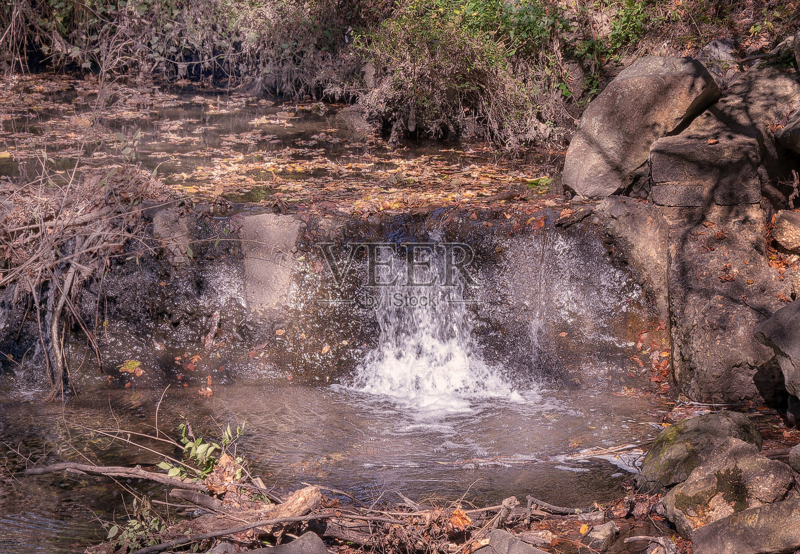锡利奥溪公园的秋日景象照片摄影图片